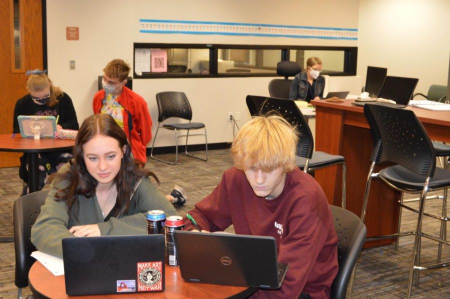 Students use computers in the PAL lab to complete assignments.