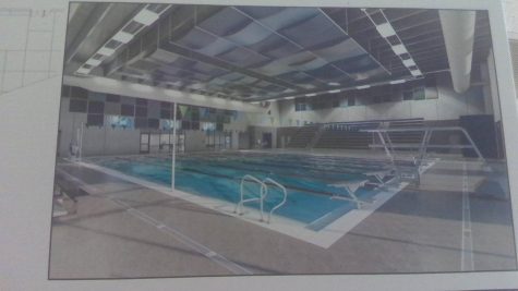 New Pool, New Classes